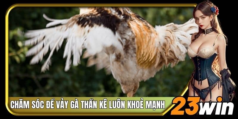 Chăm sóc để vảy gà thần kê luôn khoẻ mạnh