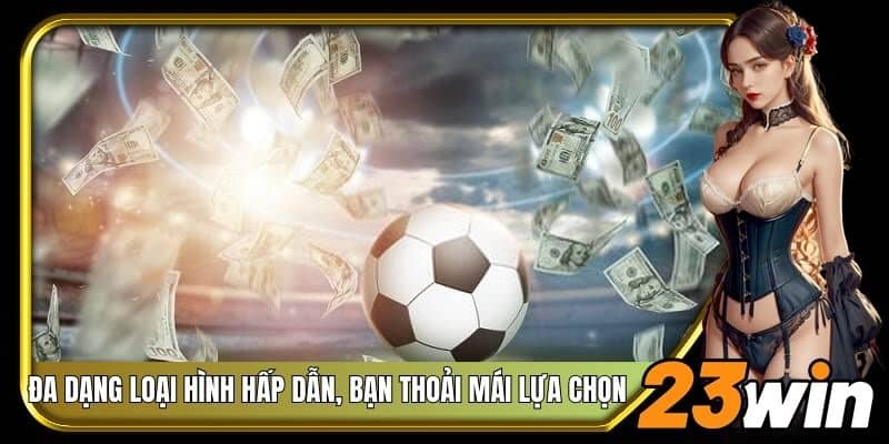 Đa dạng loại hình hấp dẫn, bạn thoải mái lựa chọn
