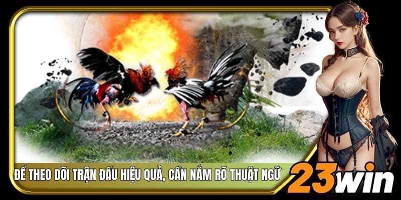Để theo dõi trận đấu hiệu quả, cần nắm rõ thuật ngữ
