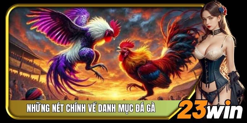 Điểm qua những nét chính về danh mục đá gà tại 23Win