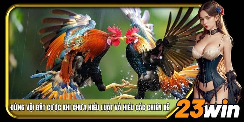 Đừng vội đặt cược khi chưa hiểu luật và hiểu các chiến kê