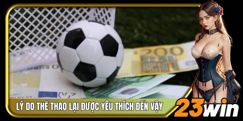 Hiểu được lý do tại sao thể thao 23Win lại được yêu thích đến vậy
