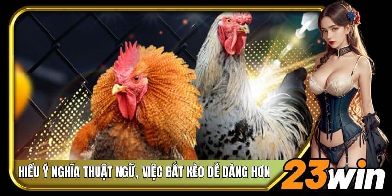 Hiểu ý nghĩa thuật ngữ, việc bắt kèo dễ dàng hơn