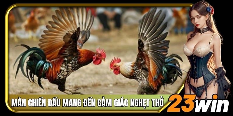 Màn chiến đấu mang đến cảm giác nghẹt thở cho bạn