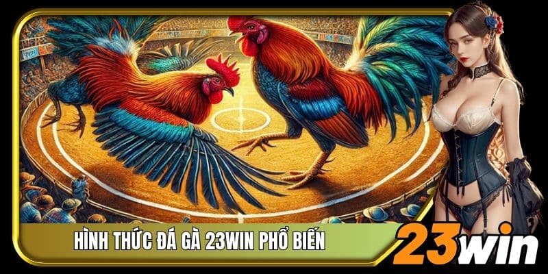 Một vài hình thức đá gà 23Win phổ biến nhất hiện nay