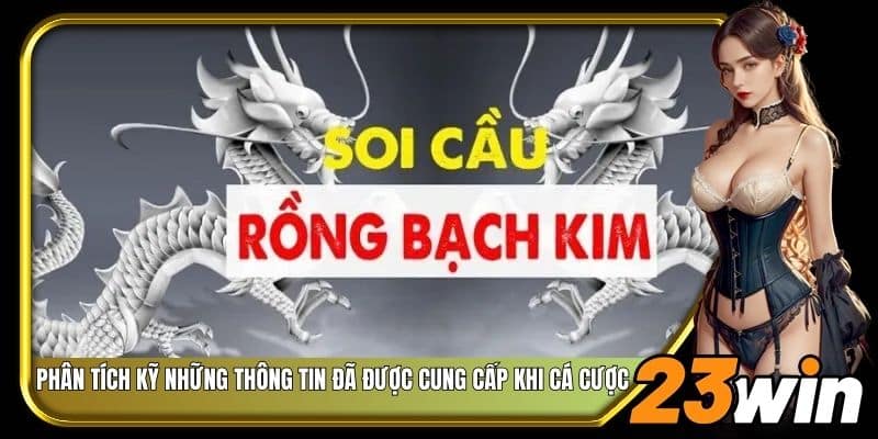 Phân tích kỹ những thông tin đã được cung cấp khi cá cược