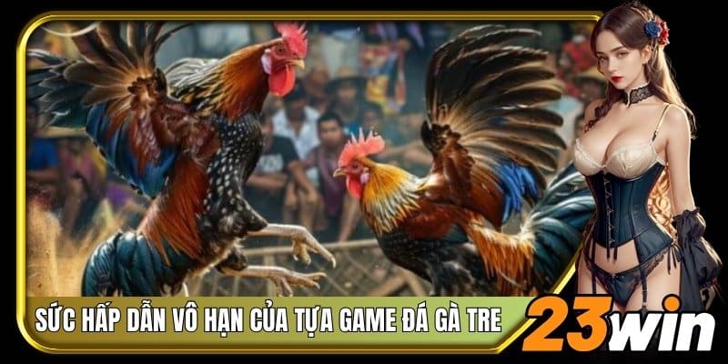 Sức hấp dẫn vô hạn của tựa game đá gà tre