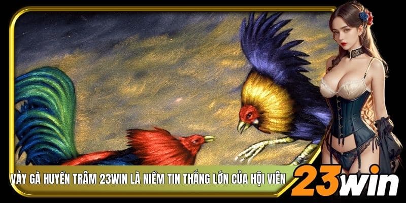 Vảy gà huyền trâm 23Win là niềm tin thắng lớn của hội viên